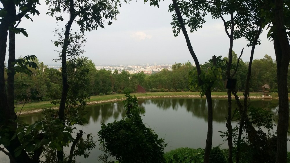 20150506_054609.jpg image